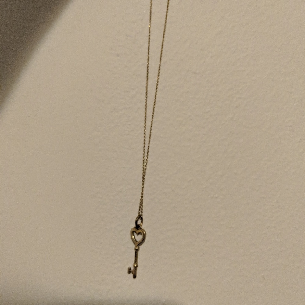 tiffany&co necklace